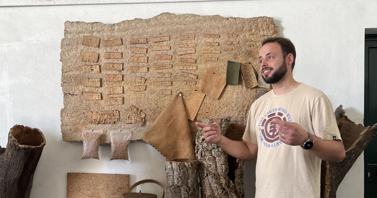 栓皮栎寿命200年最古老软木塞傲全球