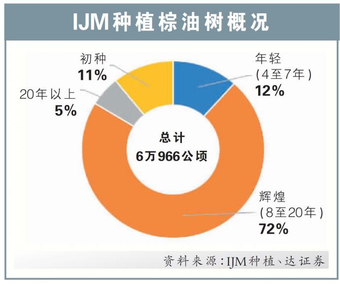 IJM种植棕油树概况