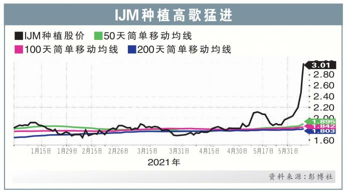 IJM种植股价