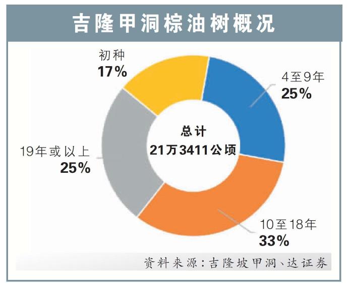 吉隆甲洞棕油树概况