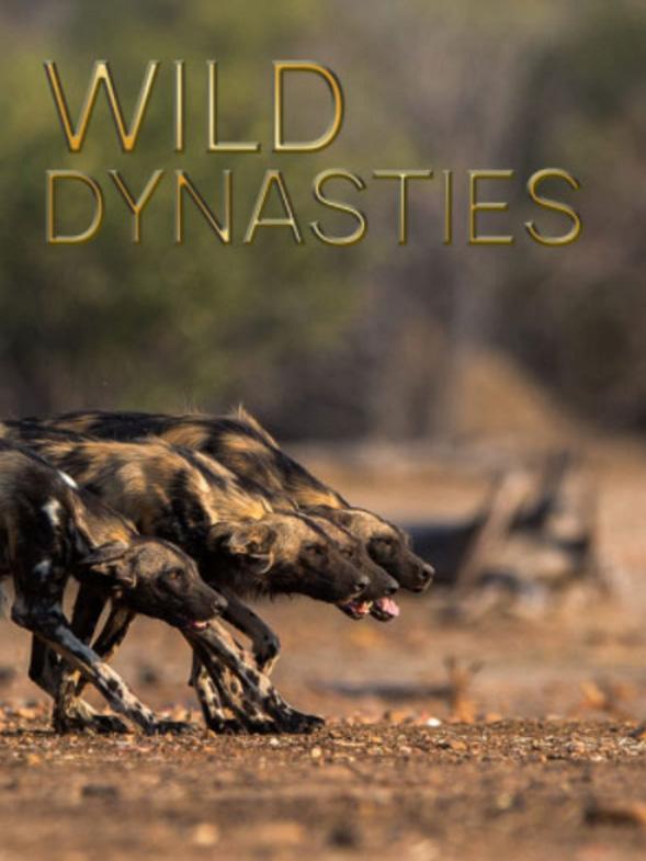 野生王朝 Wild Dynasties Animal Planet 