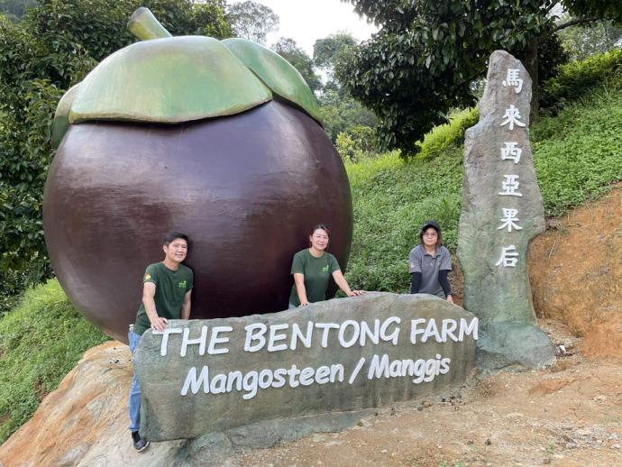 获马来西亚记录大全记录的“大马最大立体山竹”，是游客打卡的热点。 