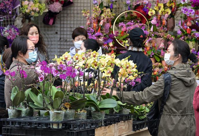 香港春节购年花