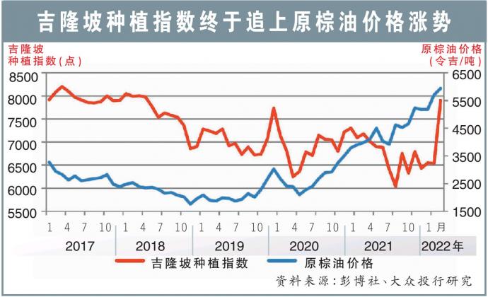 吉隆坡种植指数 19/2/22