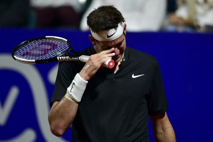 Juan Martin Del Potro 德尔波特罗