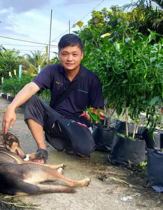 菜农狂倒羊角豆止损 彭锦强