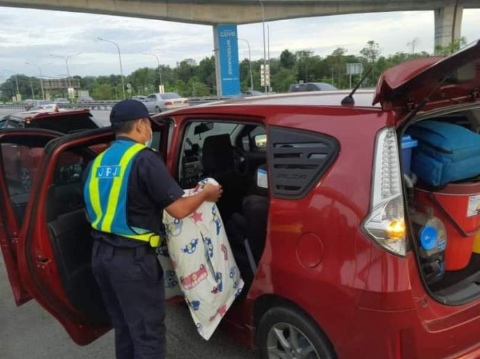 眼镜蛇搭顺风车