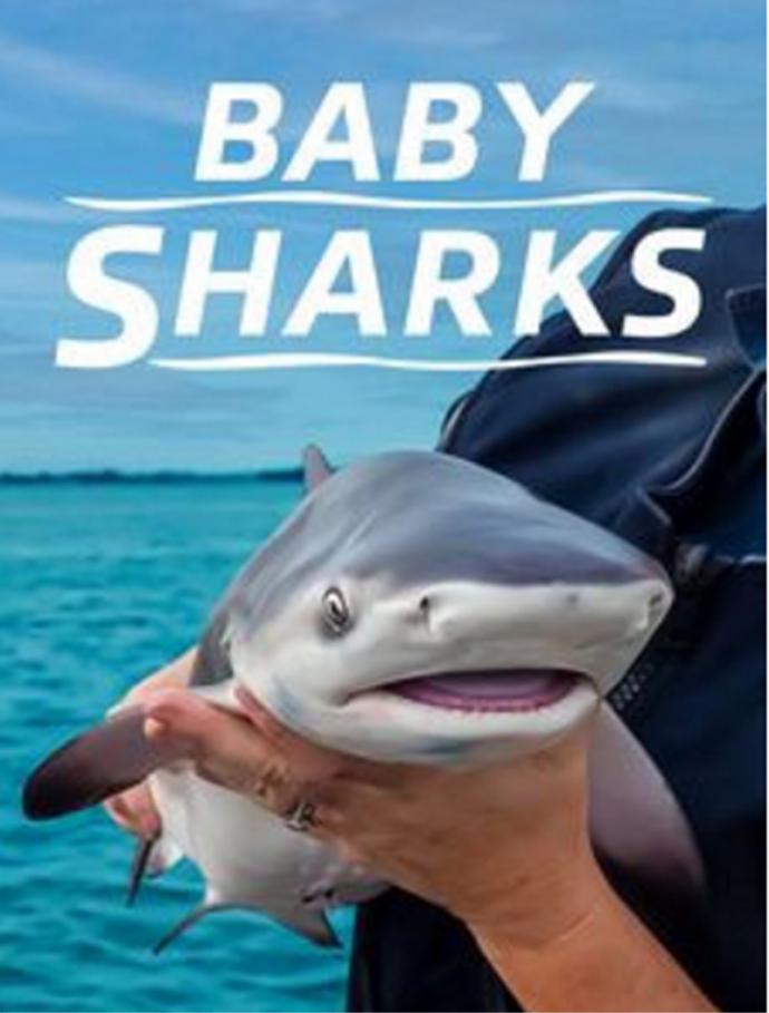 Nat Geo Wild 鲨鱼嘉年华：鲨鱼宝宝成长记  Baby Sharks