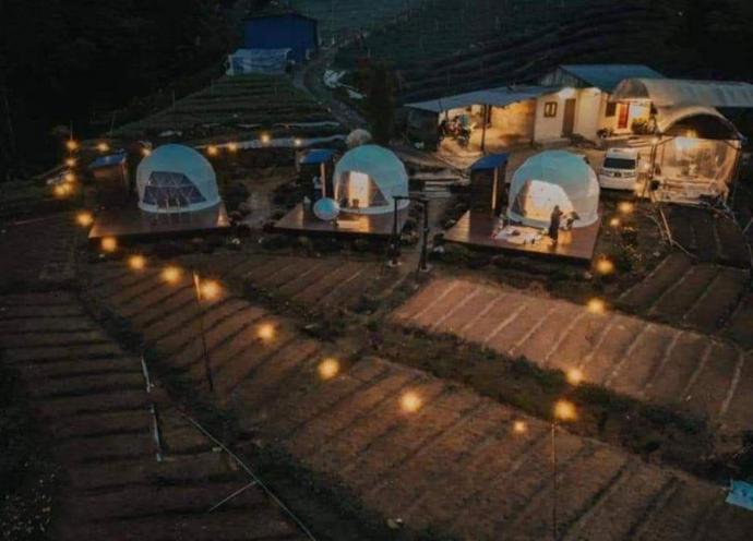 A'Moss Farmstay 露营 camping glamping