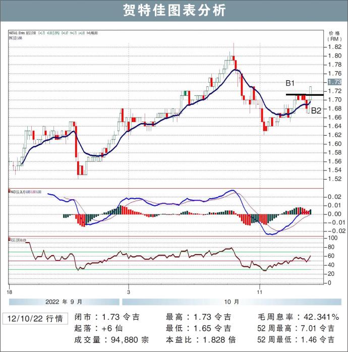 贺特佳图表分析