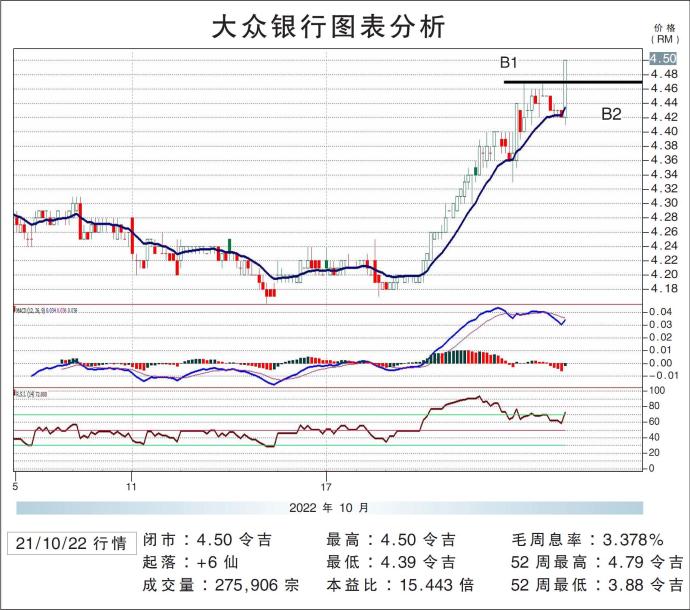 大众银行图表分析