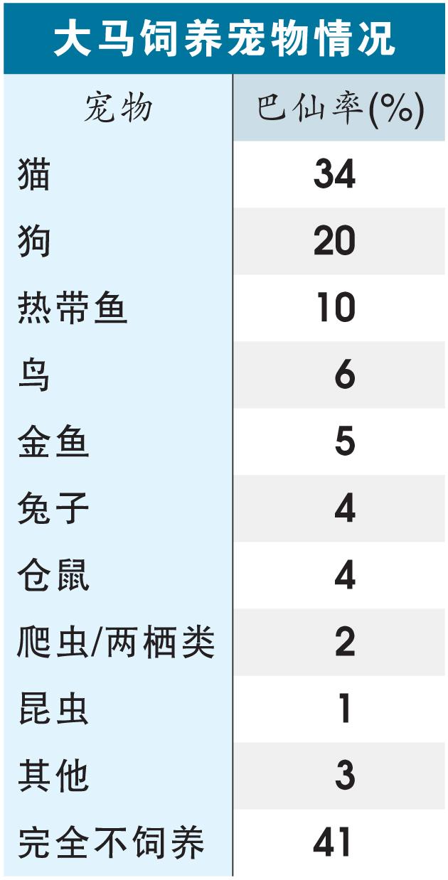 大马饲养宠物情况