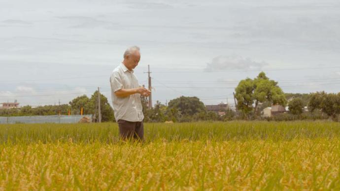 豪言话影, 郑国豪, 他还年轻, 吴晟, 林靖杰, 他们在岛屿写作, 金马奖最佳纪录片,纪录片,寻找背海的人,陈香松,