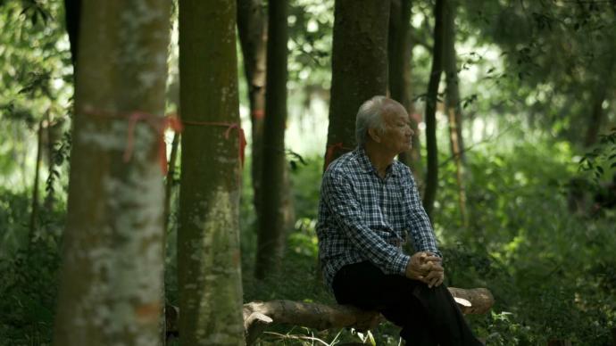 豪言话影, 郑国豪, 他还年轻, 吴晟, 林靖杰, 他们在岛屿写作, 金马奖最佳纪录片,纪录片,寻找背海的人,陈香松,