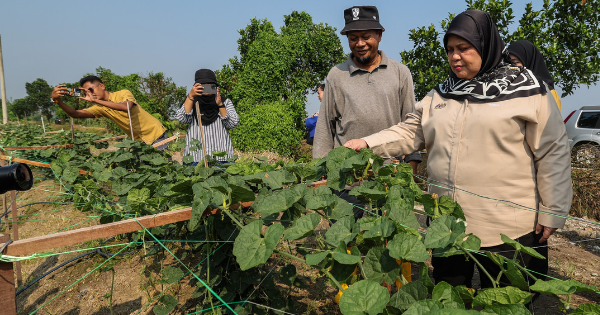 鲁比雅旺