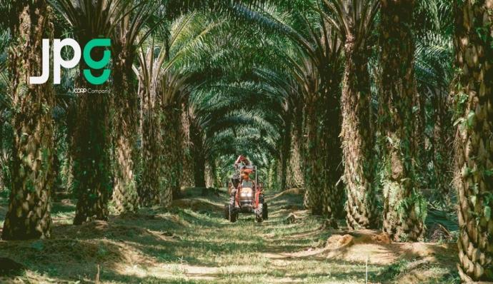 柔佛种植集团（JPG）johor plantations