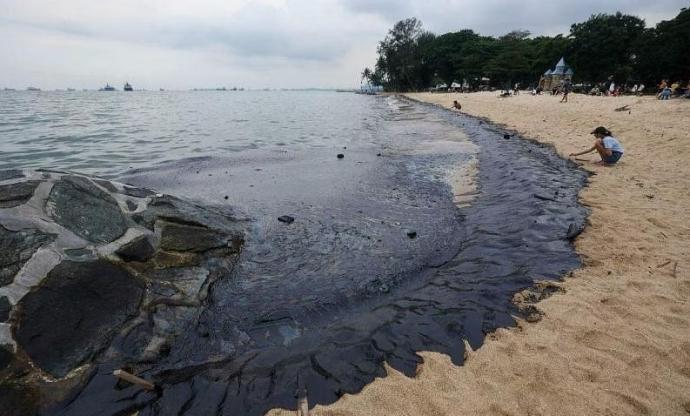 油渍扩散至狮城东海岸公园