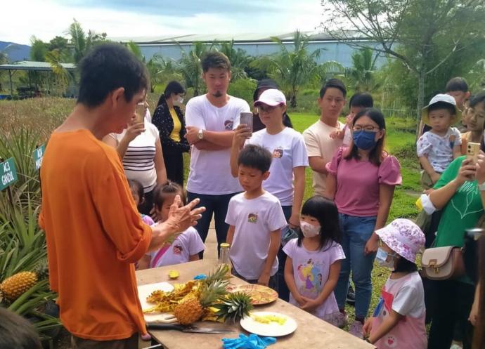 游客 黄梨园 休闲农场 国内旅游景点（林荣华提供）