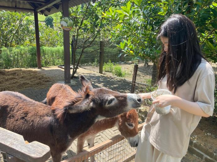 休闲农场 国内旅游景点 游客（方训勇提供）