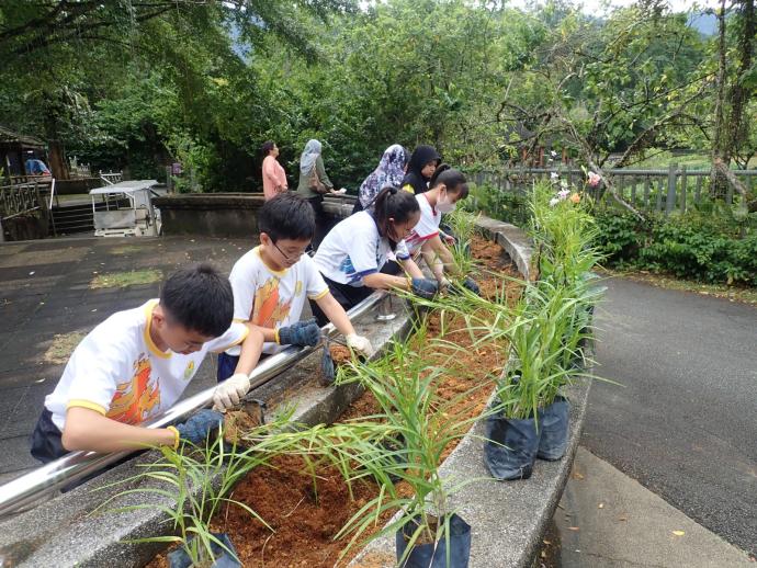 学生也参与栽种花树的活动