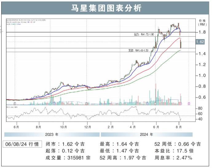 马星集团图表分析06/08/24