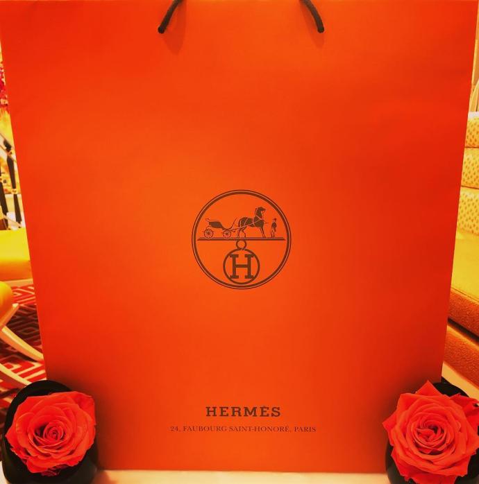 爱马仕 Hermes