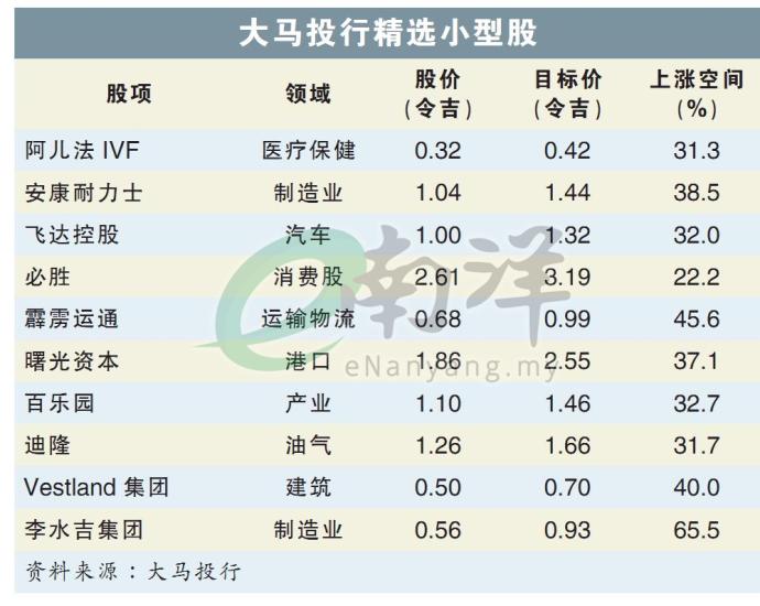 大马投行精选小型股