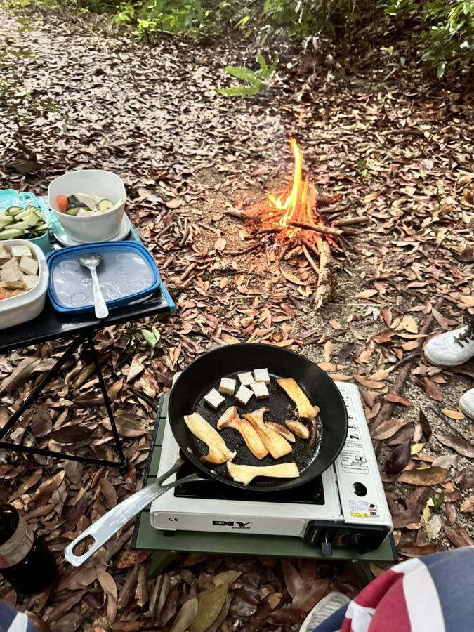 热带香料公园野营地