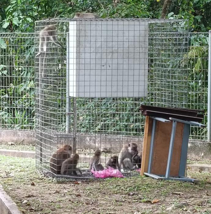 野生动物局所置放铁笼