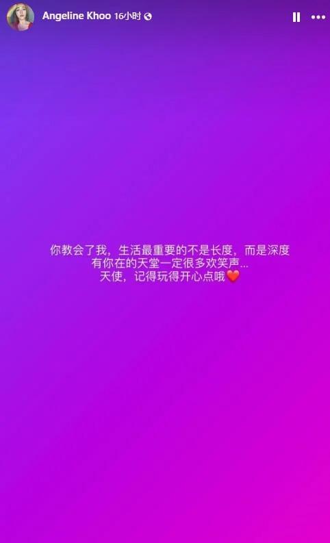 阿妮发文悼念庄群施