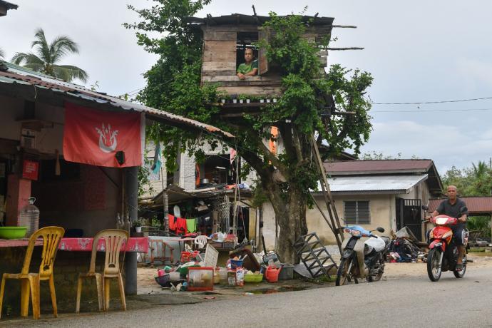 男子建树屋