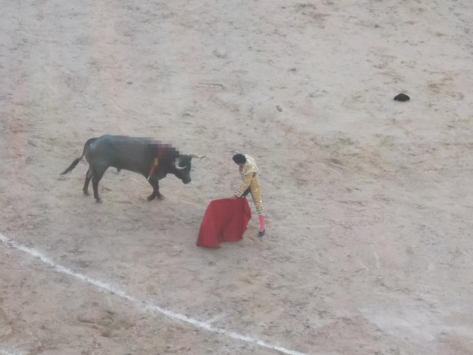 西班牙斗牛toros