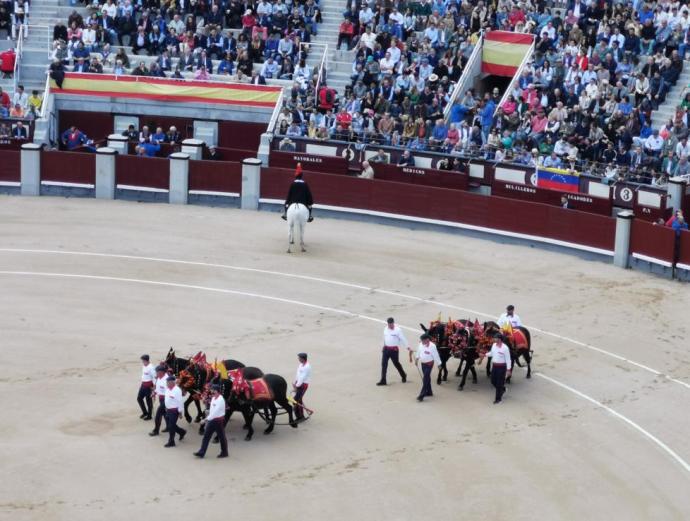 西班牙斗牛toros