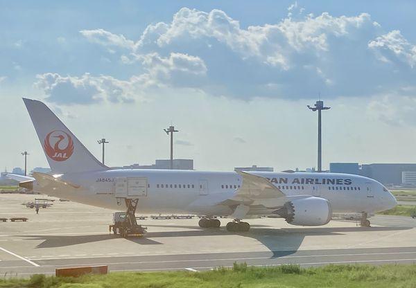 日本航空 日航 Japan Airlines