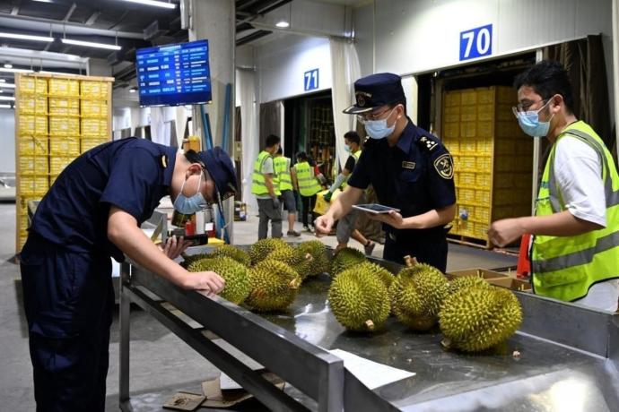 中国查验进口榴梿