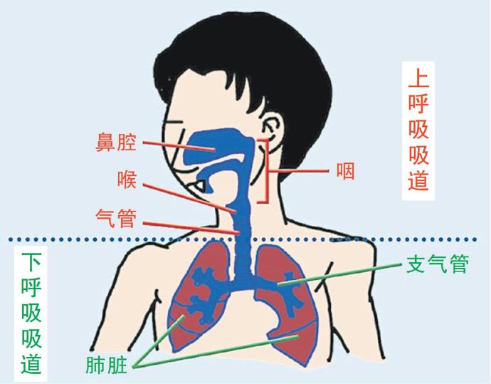 流感