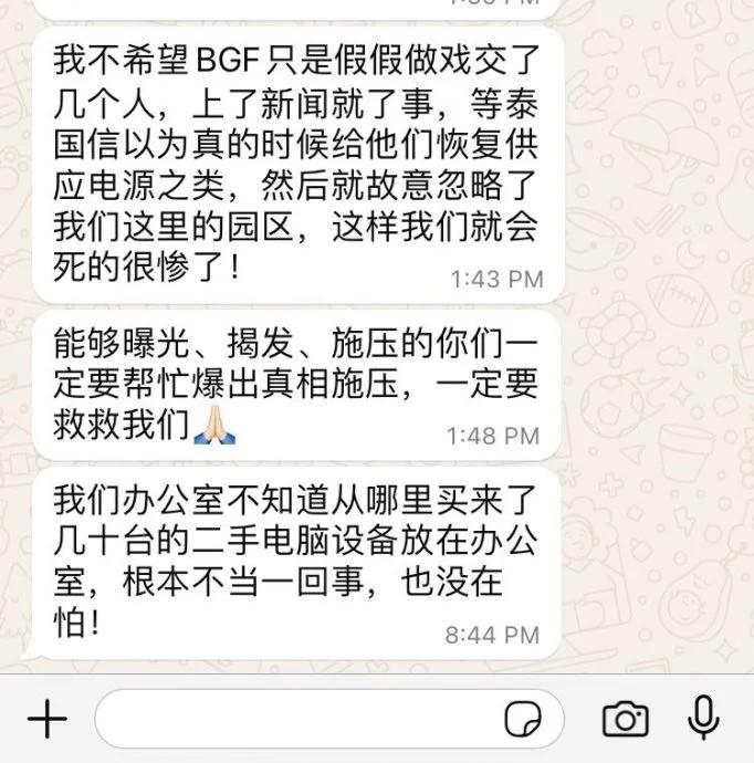 受困猪仔通过讯息求救