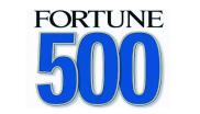 财富 500 fortune