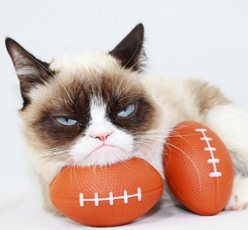 GrumpyCat190518b