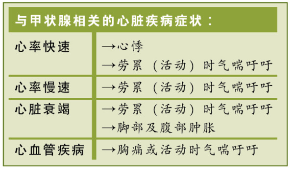 轻视大颈泡小心心脏病爆发