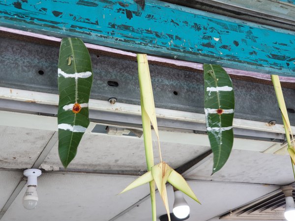 除了大宝森节 屠妖节印裔节庆还有这一个