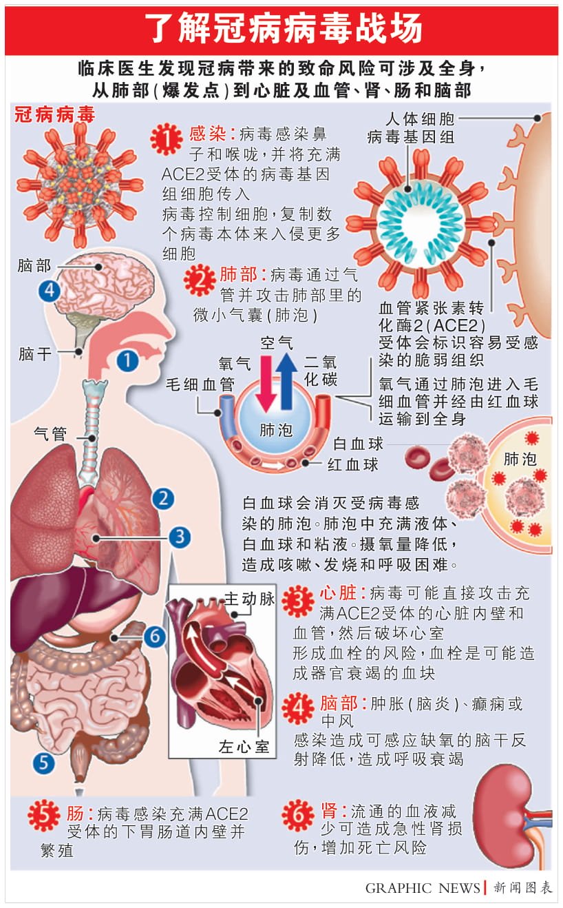 200515virus_noresize