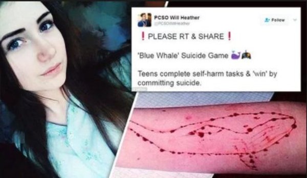 俄死亡游戏 蓝鲸 煽动青少年自杀多国发警告