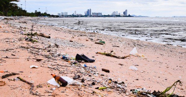 游客涌入泰国名胜芭堤雅，往往让海滩等地遍地是垃圾。对此泰国近期开始邀请游客前来时捡拾垃圾，为保育出一份力。（网络图）